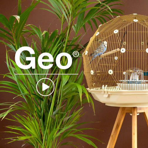 Geo bird cage discount